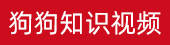 狗狗用品ads1